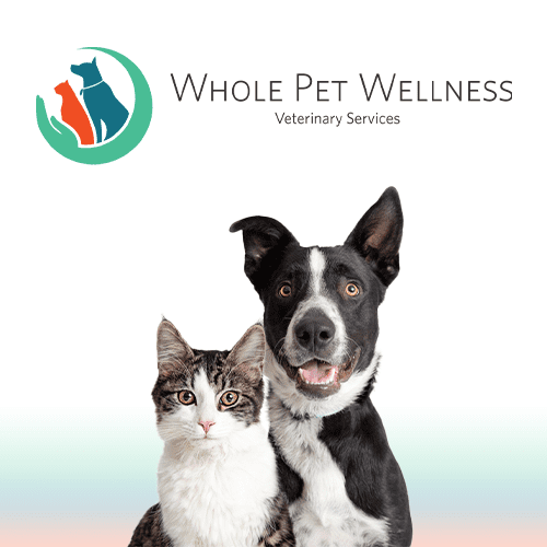 Vet Clinic in Denver, CO & Aurora, CO | Whole Pet Wellness