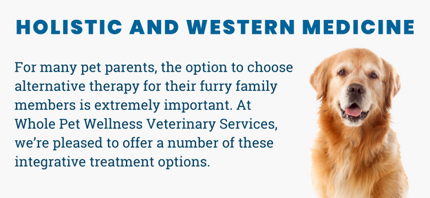 For many pet parents, the option to choose alternative therapy for their furry family members is extremely important. At Whole Pet Wellness Veterinary Services, we’re pleased to offer a number of these integrative treatment options.