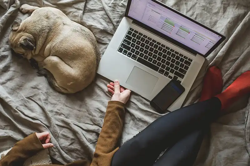 Dog laying next to a laptop